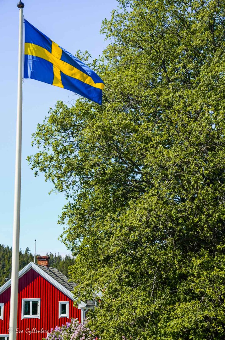 Flaggor och röda hus på Ulvön