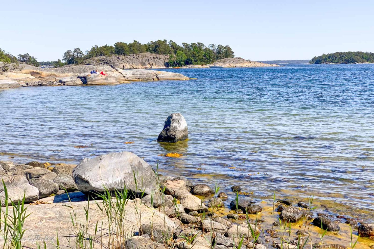 Björnö naturreservat