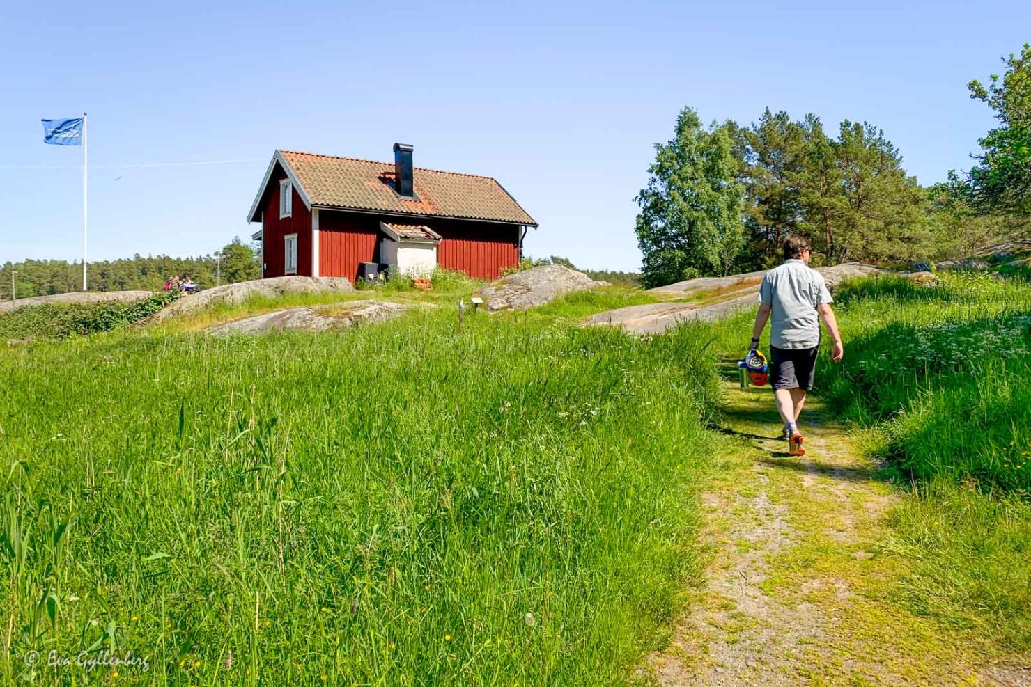 Björnö naturreservat