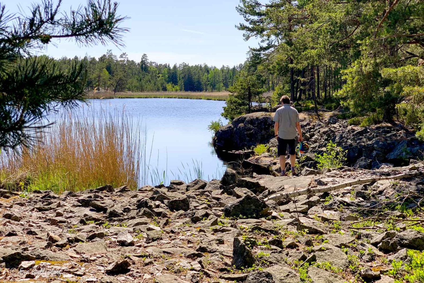 Björnö naturreservat