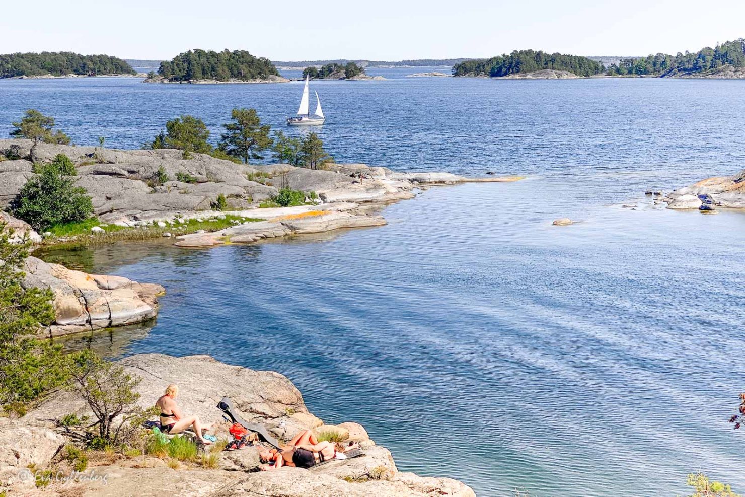 Björnö naturreservat