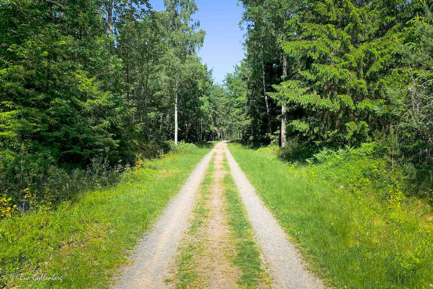 Björnö naturreservat