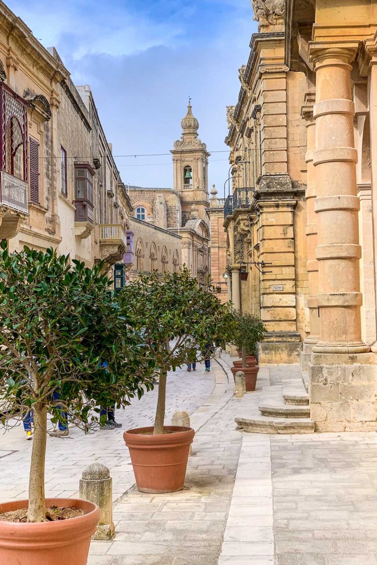 En gata i Mdina på Malta med träd i krukor