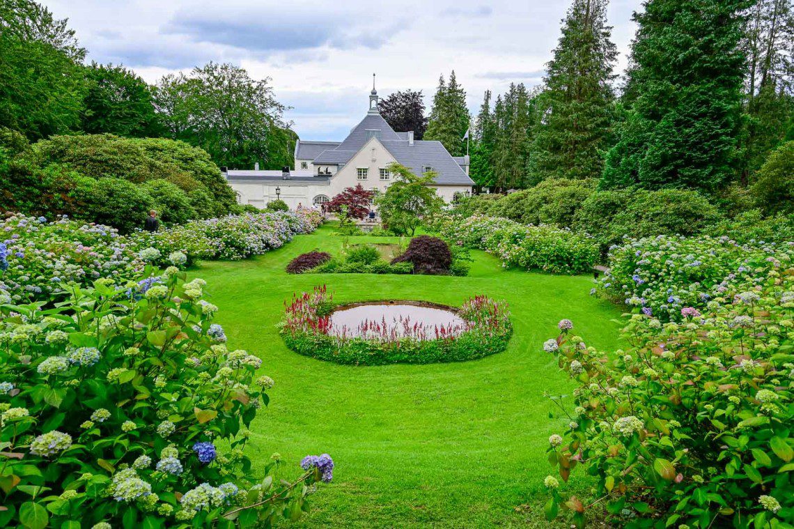 Hortensiaträdgården med utsikt över huset