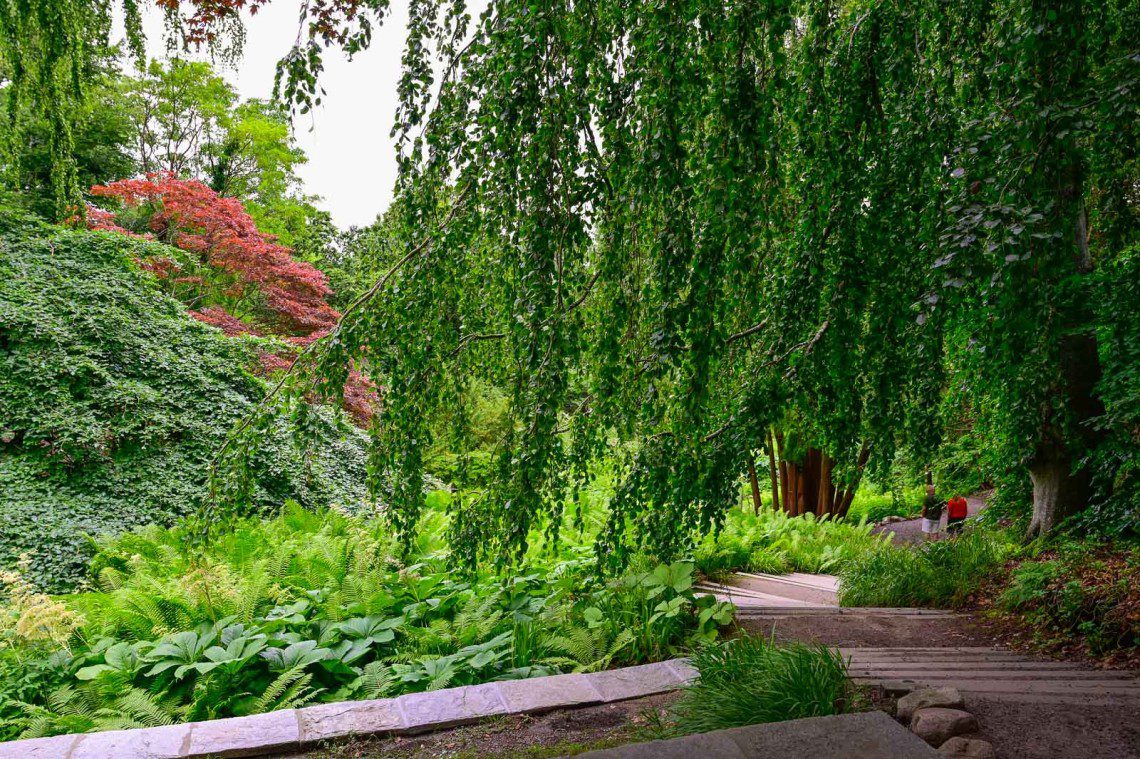 Trappan till japanska trädgården