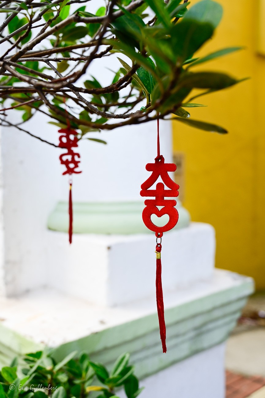 Röda kinesiska tecken hänger från ett träd
