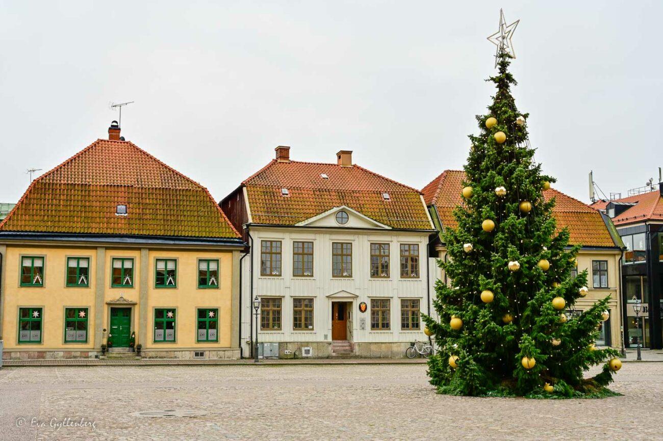 Julgran på torget med vackra gamla hus i bakgrunden