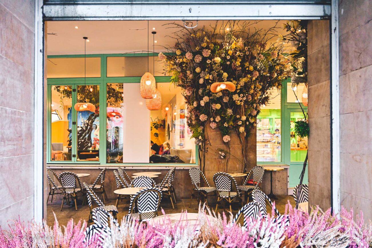 Café med turkosa fönster och blommor på fasaden i Plzen