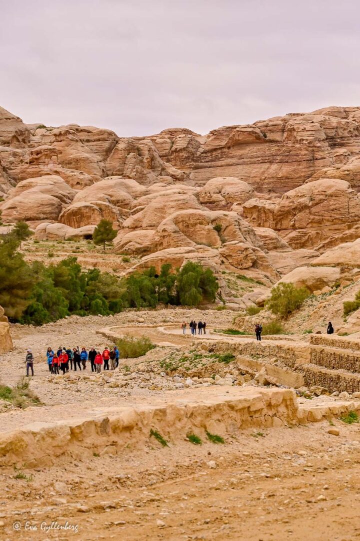 Turister på vandring för att nå Skattkammaren i Petra