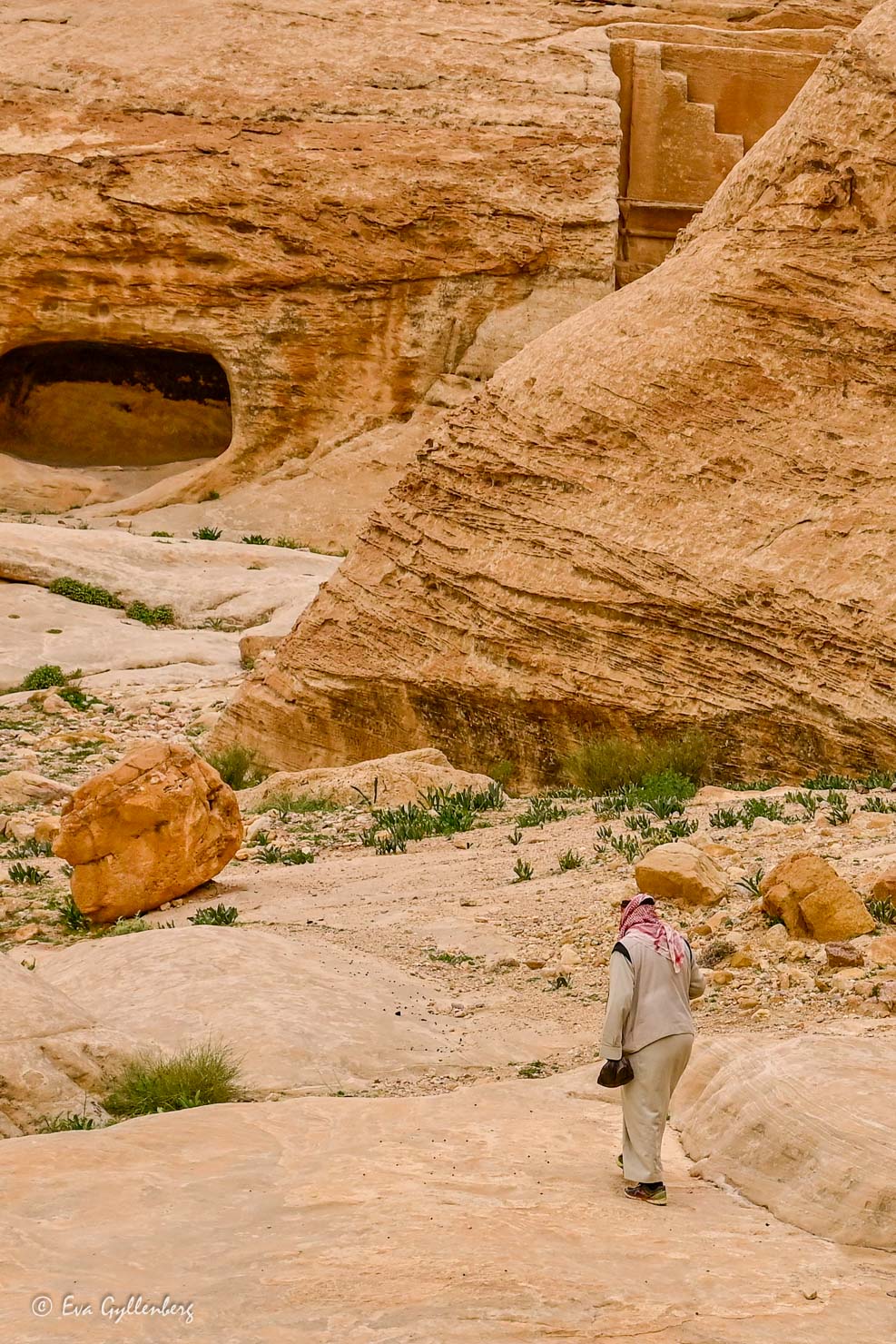 Beduin går på promenad bland klippboningarna i Petra