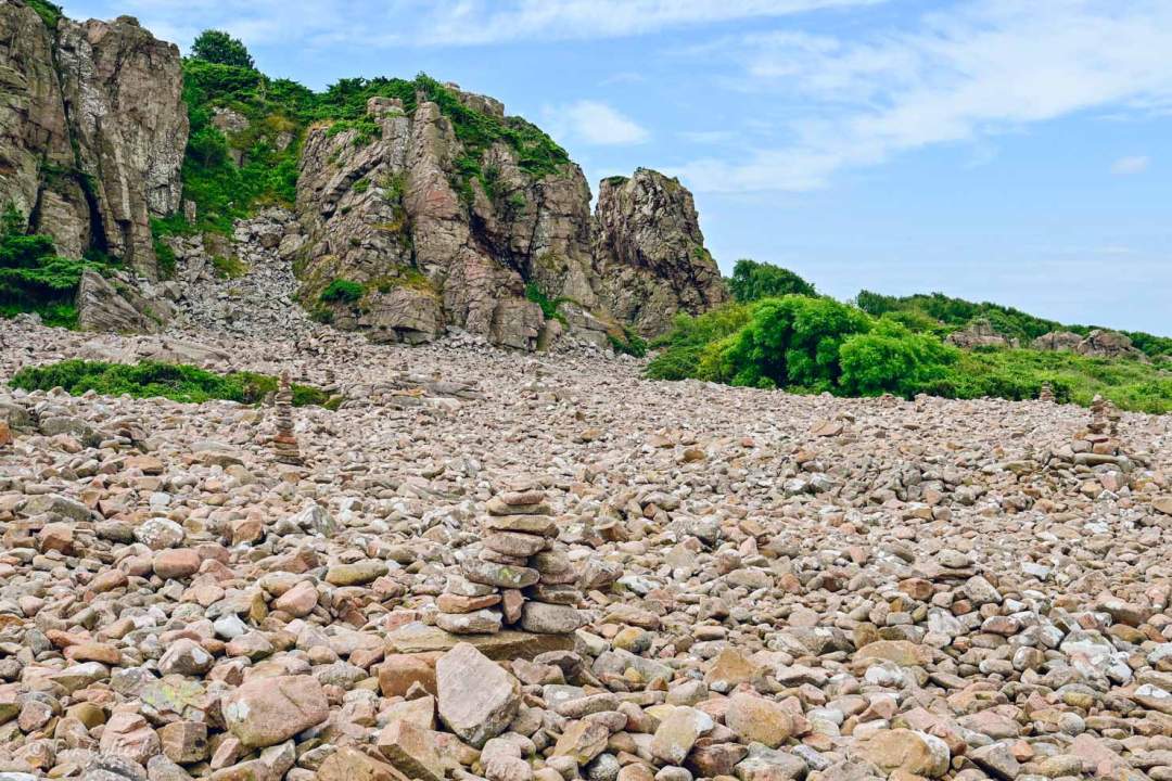 Stentorn på en stenig strand