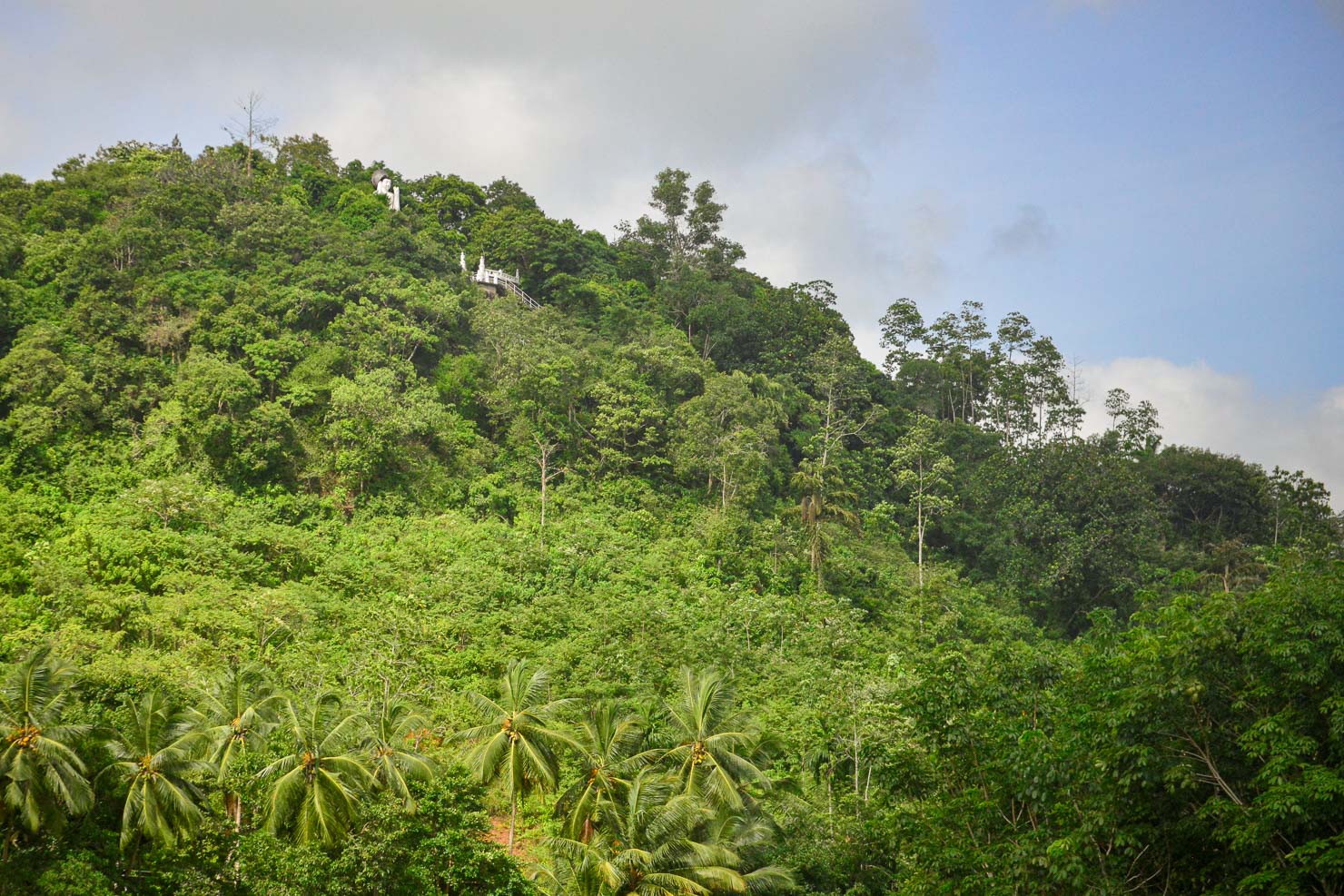 Grönskande kullar i sydvästra Sri Lanka