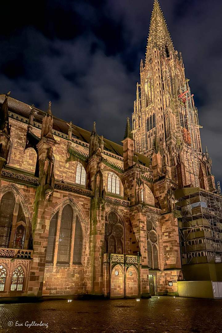 Den stora katedralen i Freiburg på kvällen