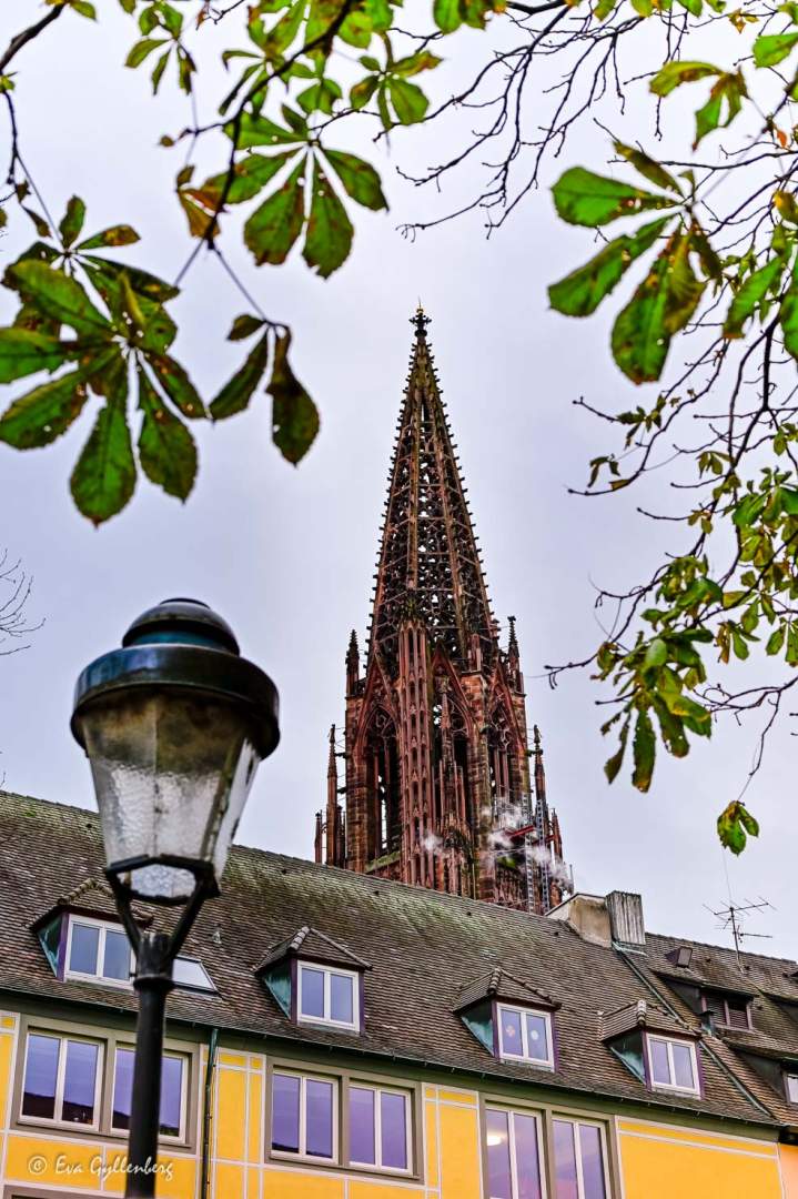 Freiburgs luftiga kyrktorn tittar upp bakom ett hus