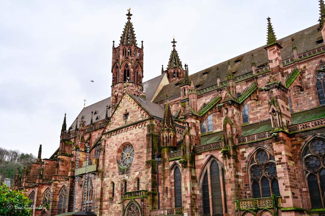 En stor katedral i gotisk stil sett från sidan