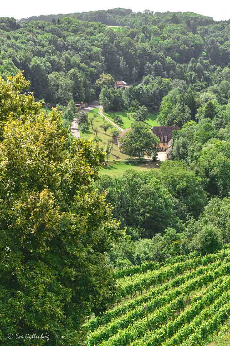 Utsikt över vingårdar och byar i Romantische Strasse
