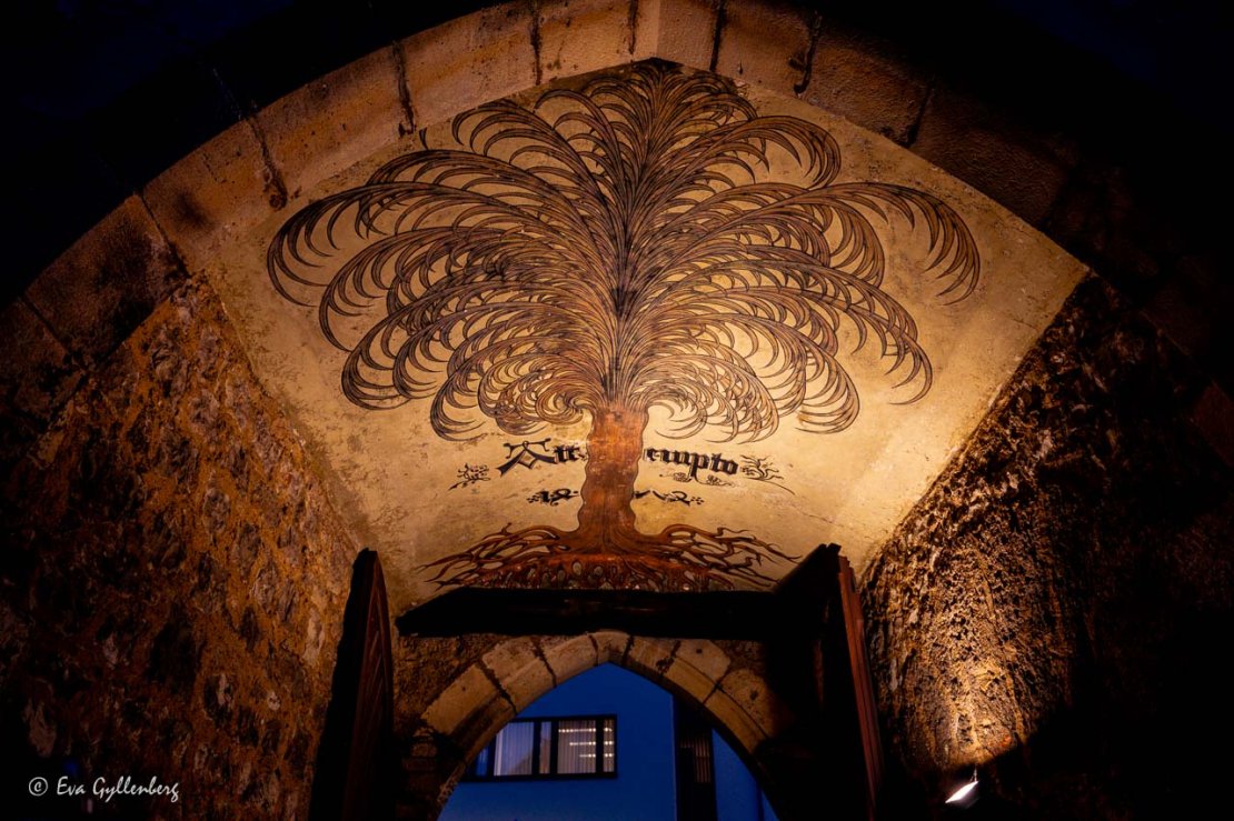 Ingången till Residensslottet Urach har en palm i taket