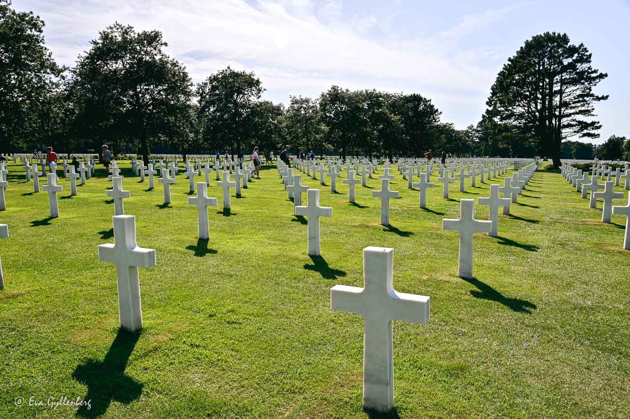 American cemetary är en av alla sevärdheter i Normandie som du inte ska missa. Här reser sig tusentals vita kors mot himlen över soldaternas gravar.
