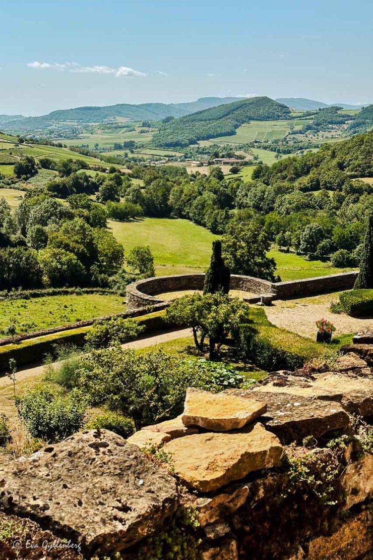 Utsikt från ett slott över vingårdar och kullar i Bourgogne