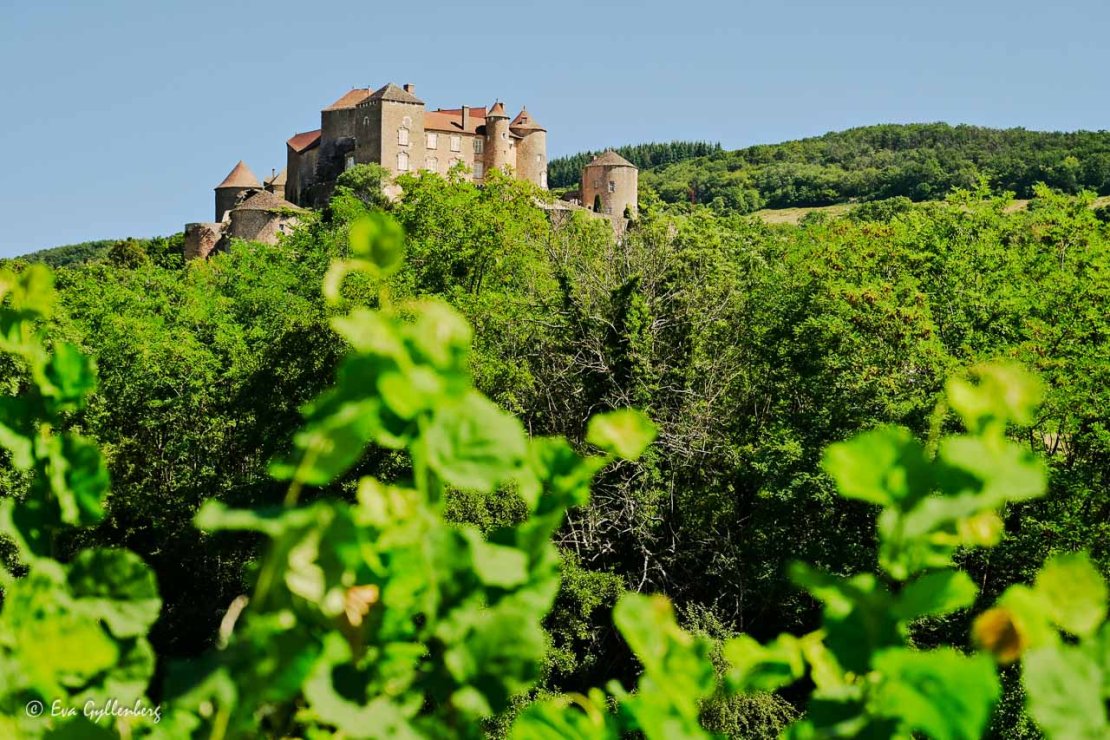 Slottet Forteresse de Berzé på en kulle över vinrankor