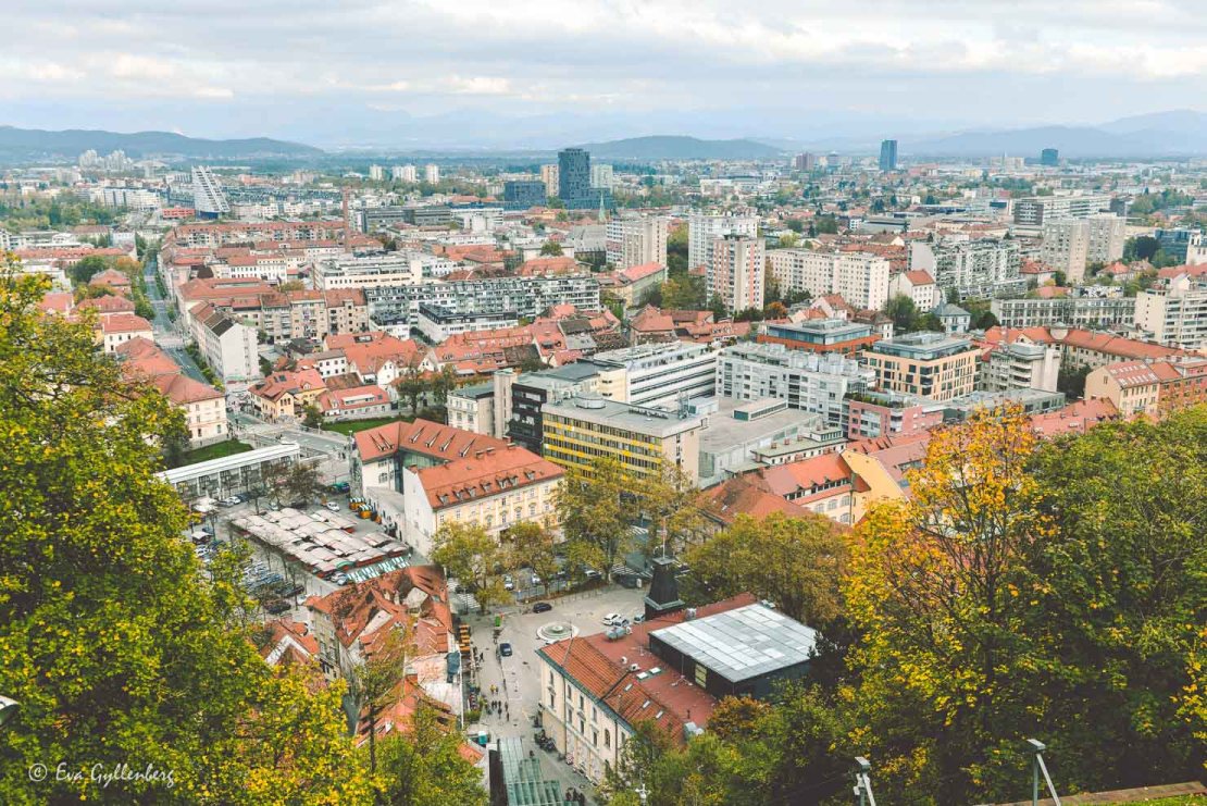 Ljubljana från ovan en höstdag