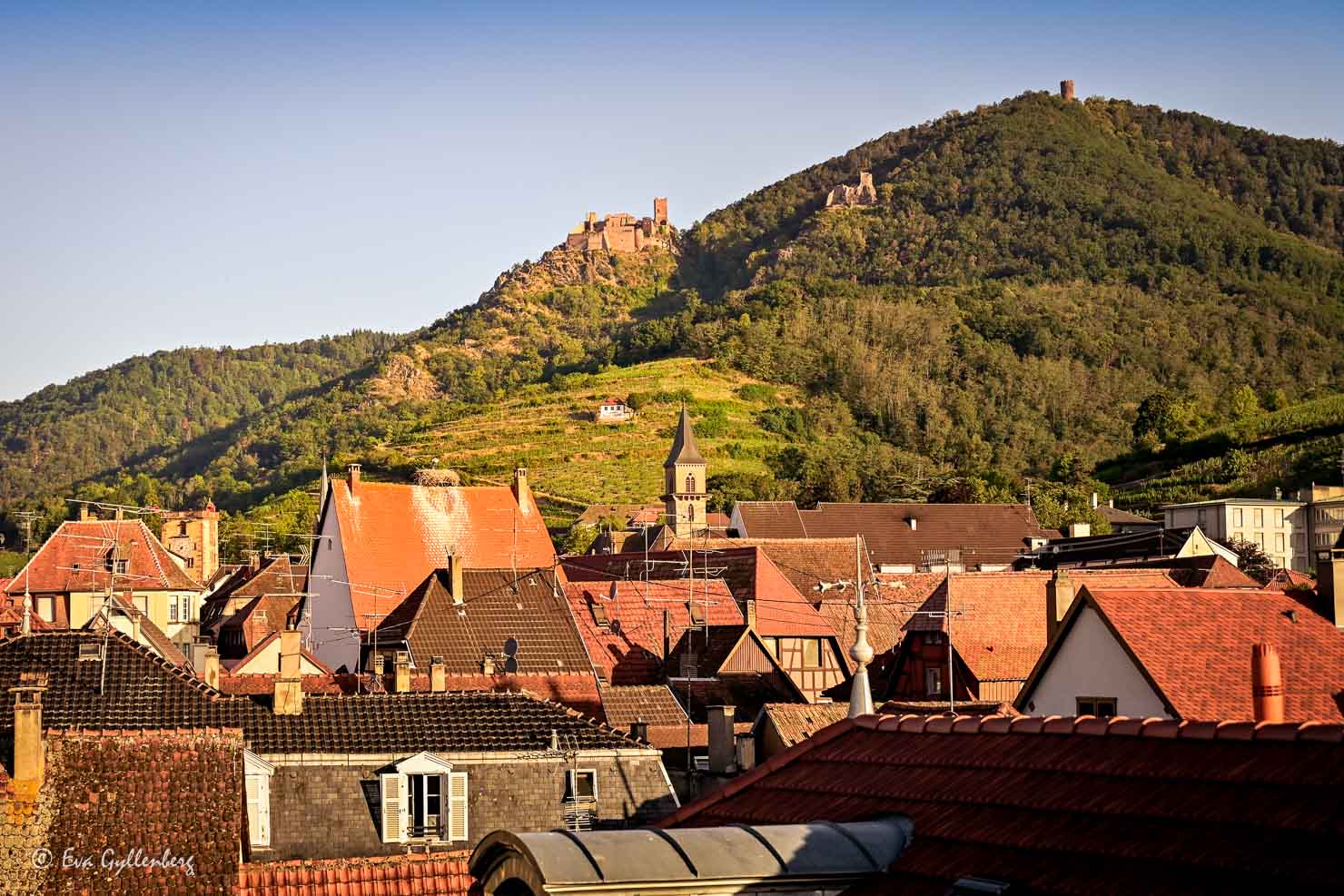 Ribeauville från ovan med utsikt över stadens tak och slottet på kullen