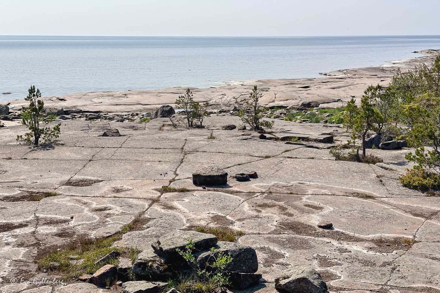 mjuka klipphällar vid havet