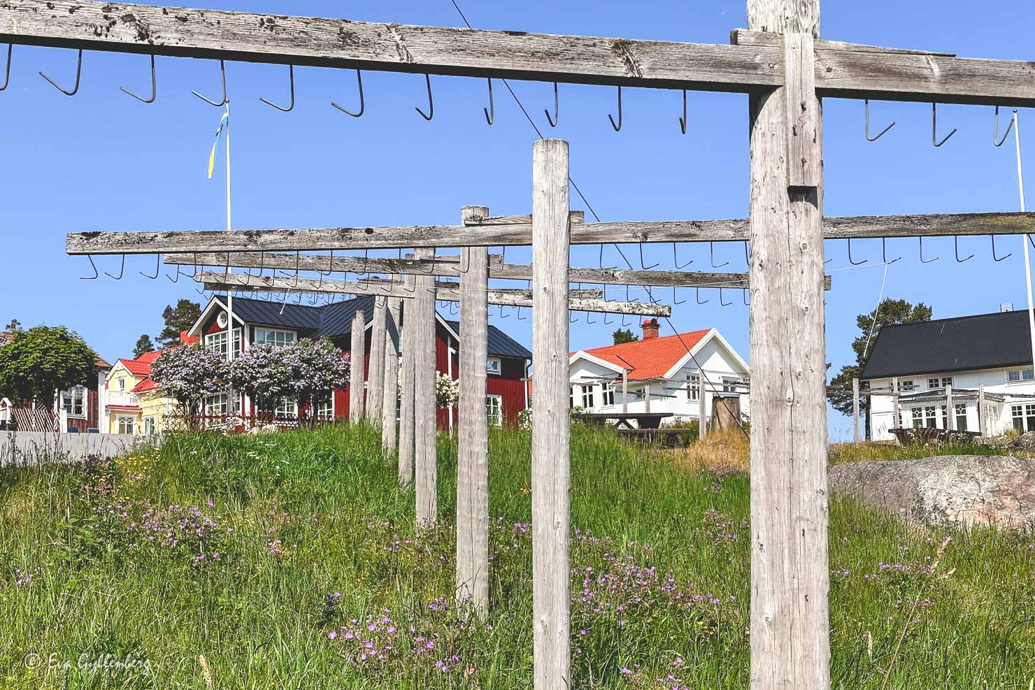 krokar med upphängning för nät med hus i bakgrunden