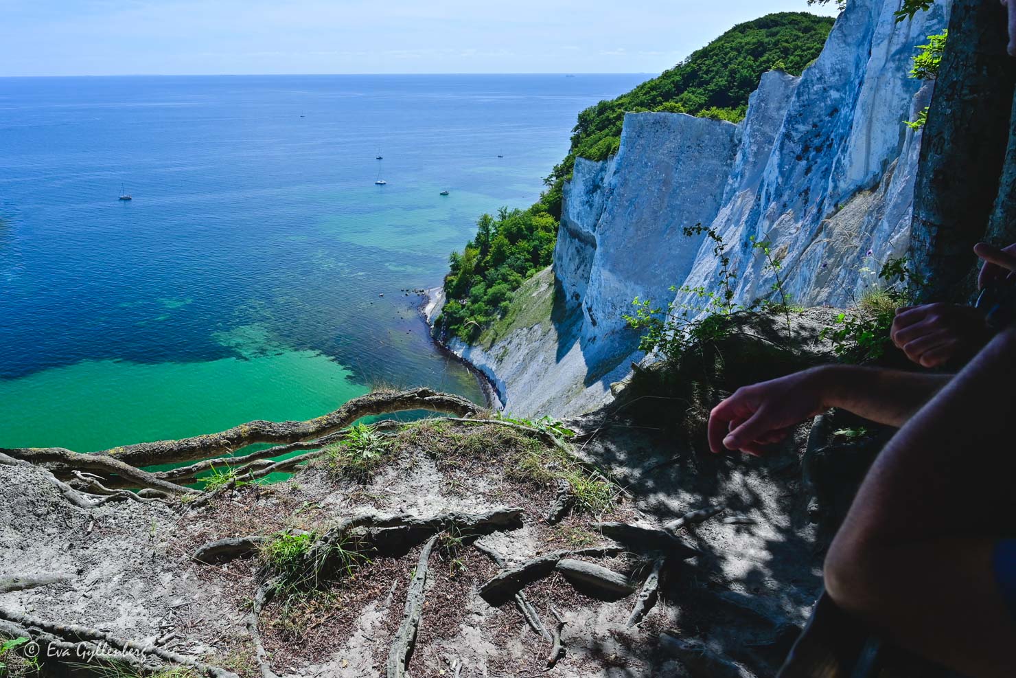 människor som lutar sig mo ett staket vid en brant klippa vid havet