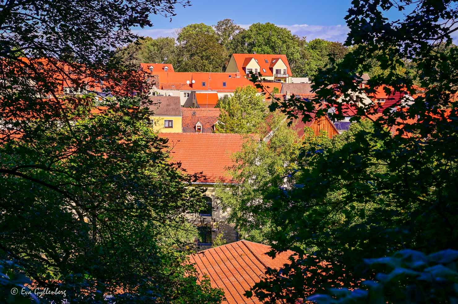 utsikt över stad