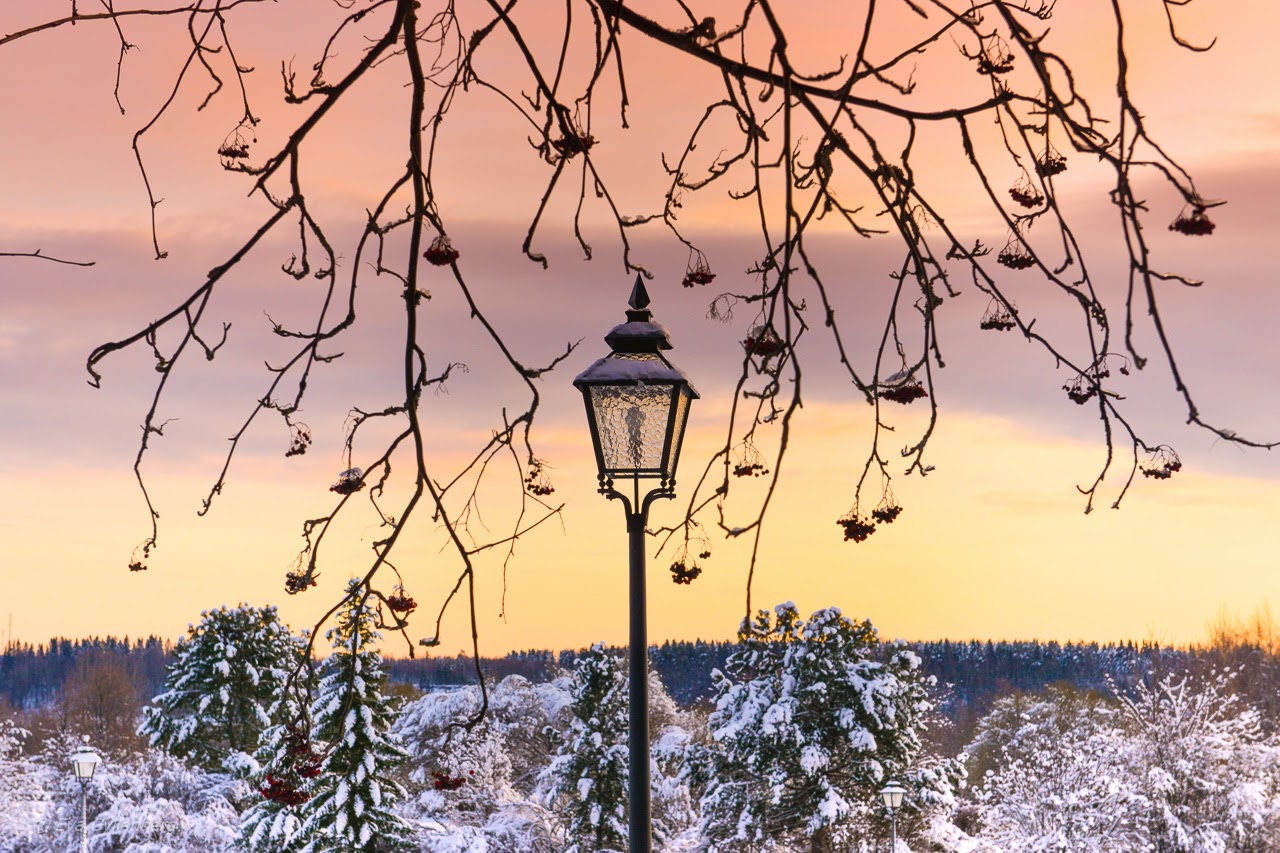 Skymning över snöigt landskap