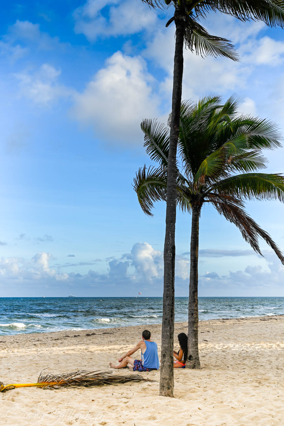 ett par sitter under en palm på en vit strand