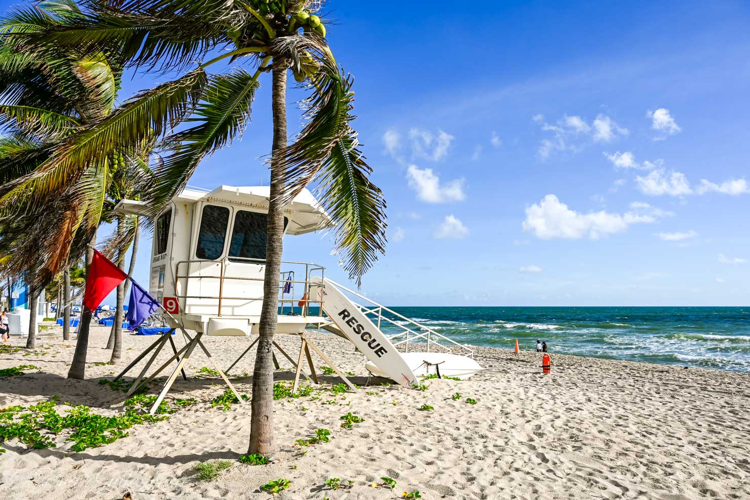 Vit sandstrand med palmer och badvaktstorn - en av de saker att se och göra i Fort Lauderdale