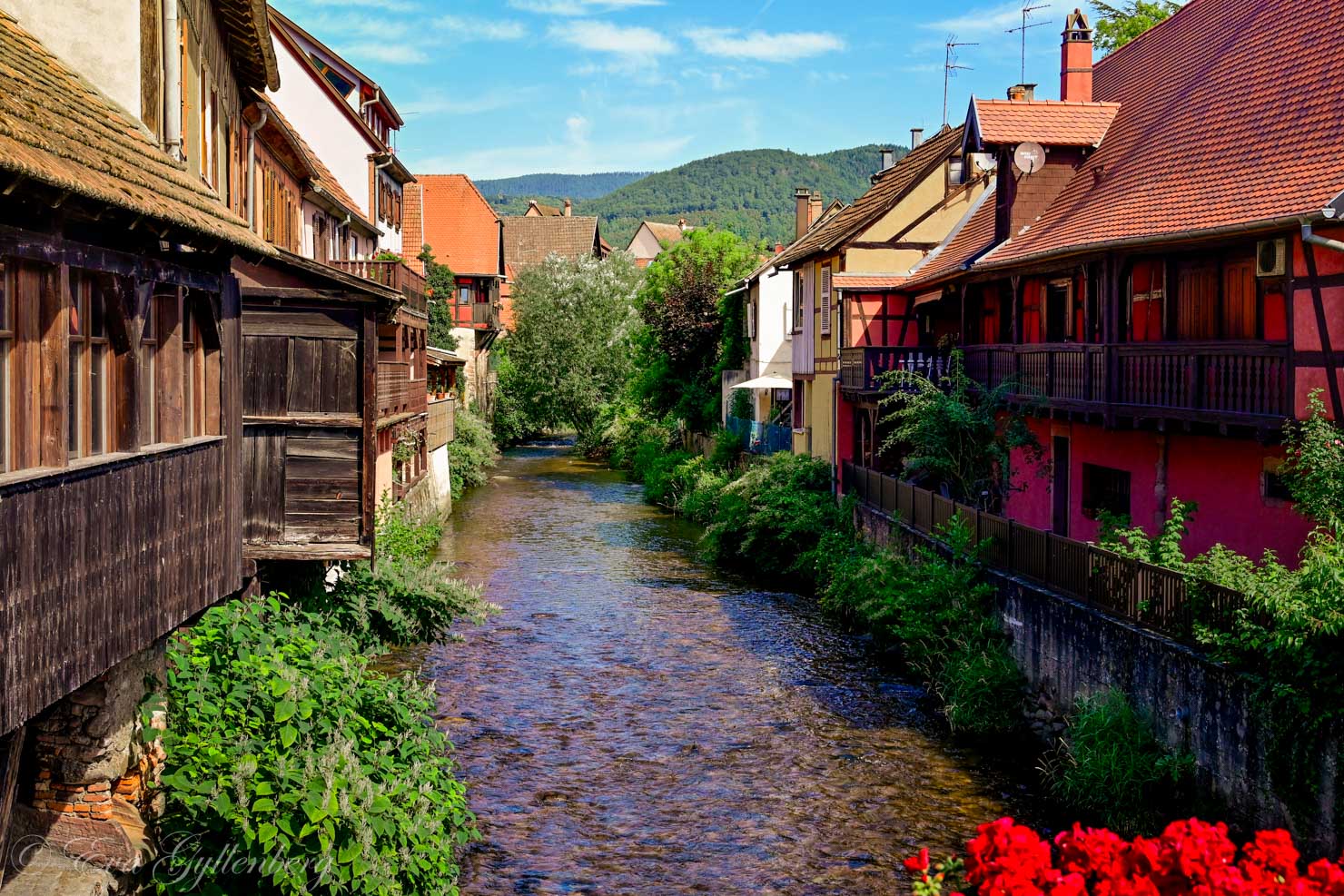 En liten å i Kaysersberg, omgiven av hus