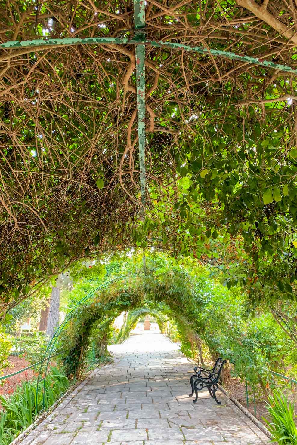 San Anton garden med en grön tunnel