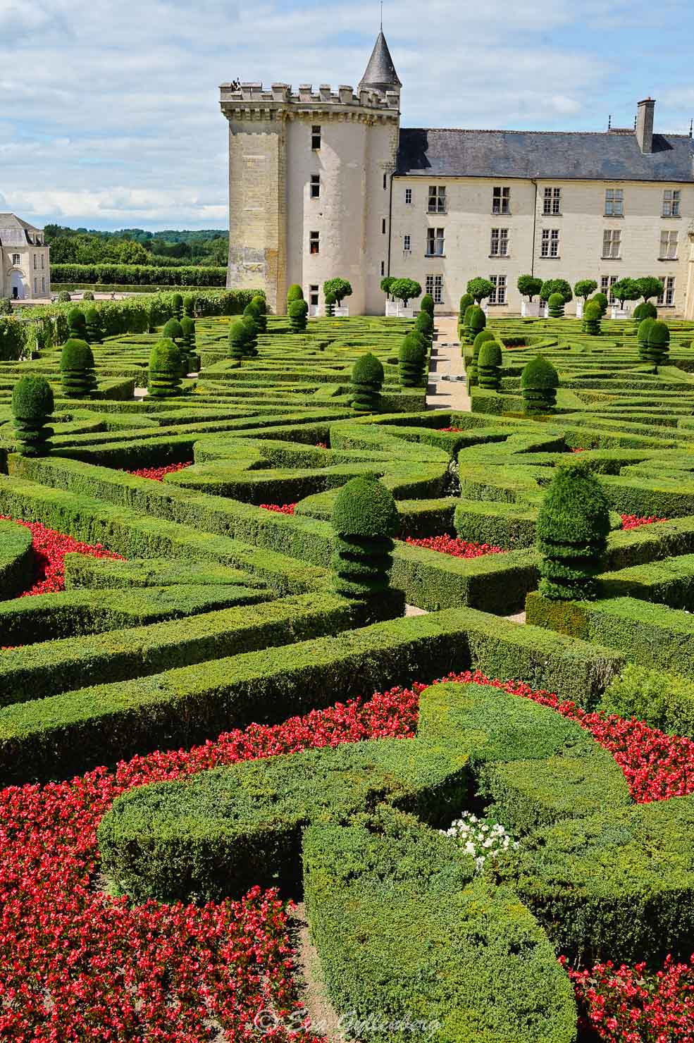 Formklippt trädgård från ovan med slottet Villandry