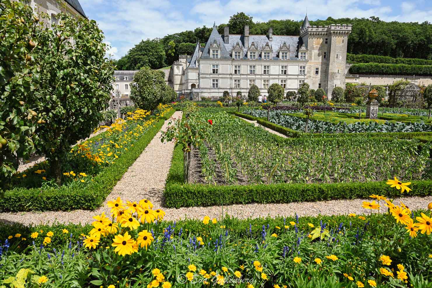 Slottet Villandry med trädgård