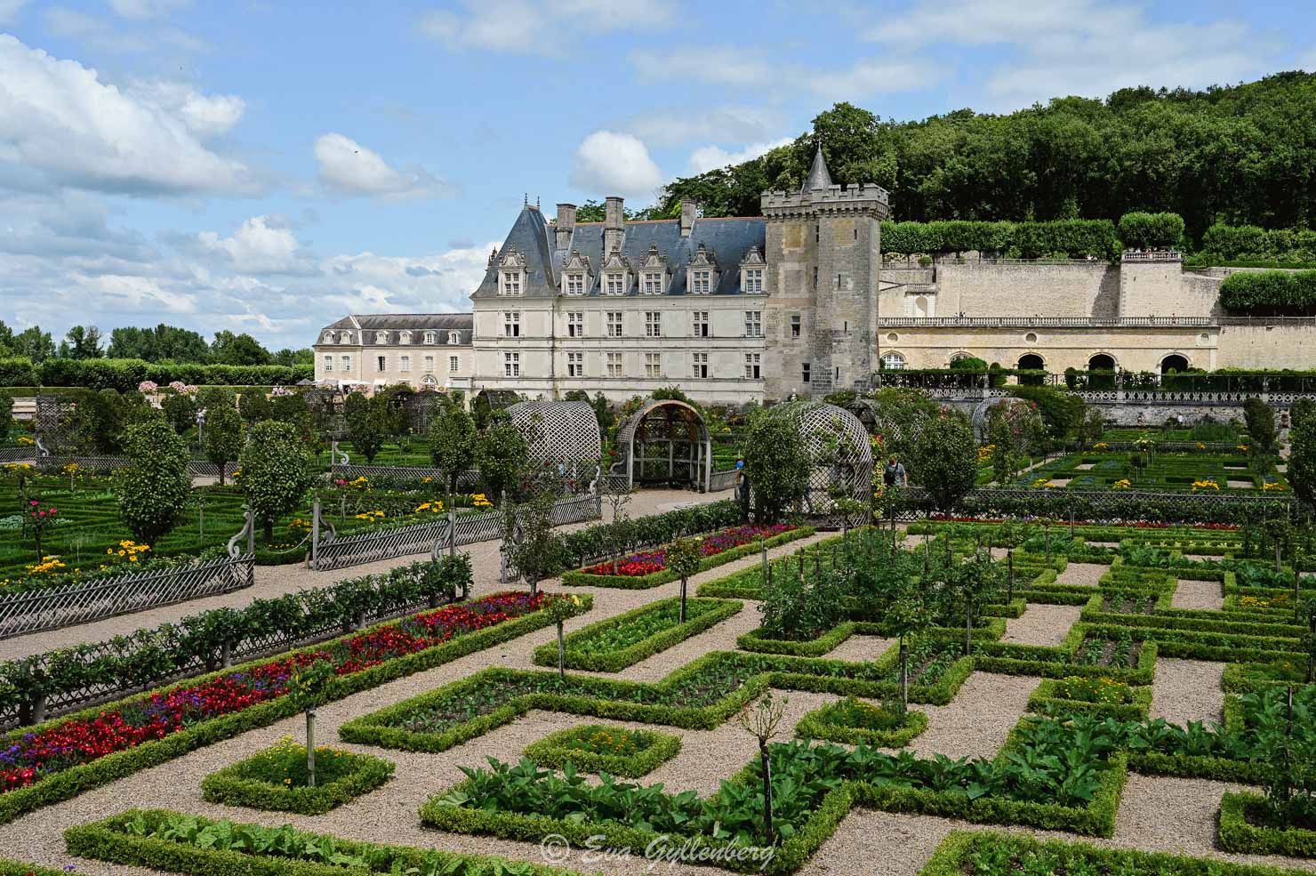 Slottet Villandry med trädgård