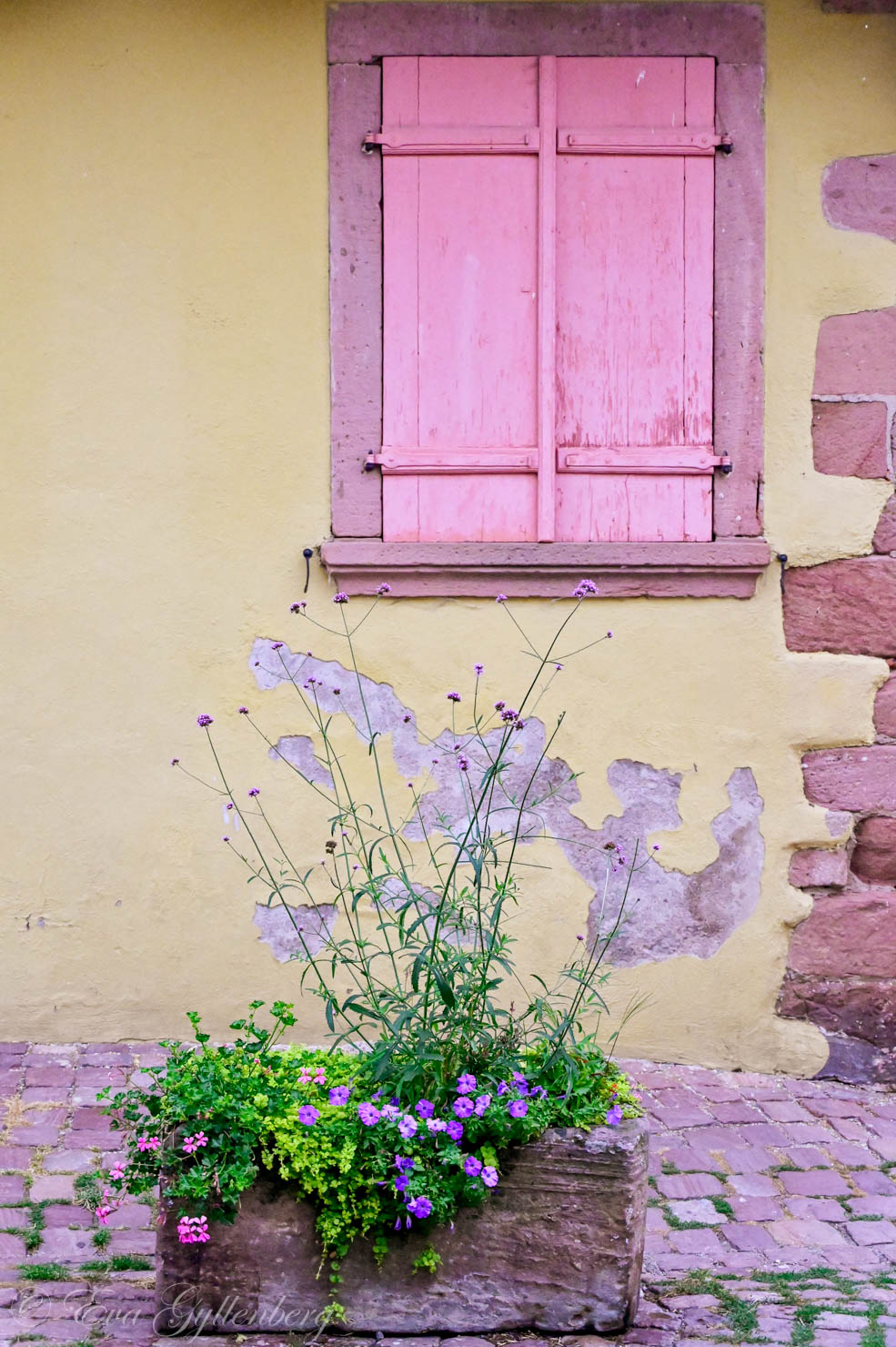 Blommor i en kruka vid ett fönster med fönsterluckor